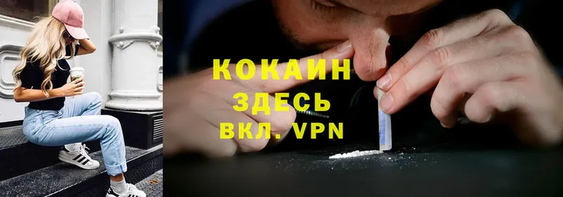 Cocaine Fish Scale  дарк нет телеграм  блэк спрут зеркало  Новоузенск  где купить наркоту 